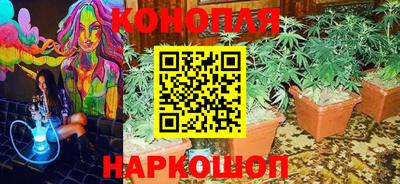 СК Коммунар