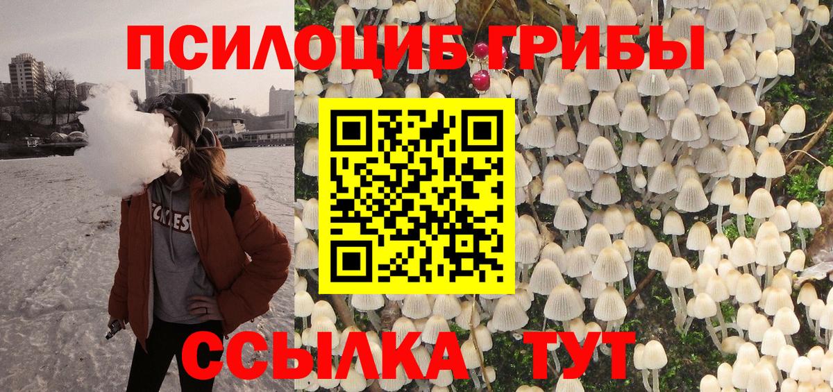 Галлюциногенные грибы Cubensis Каменка